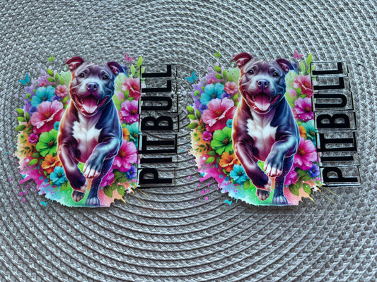 Pitbull