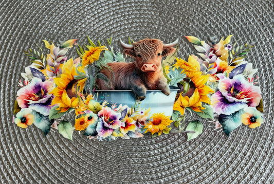 Highland cow | UV DTF 16oz glass can wrap