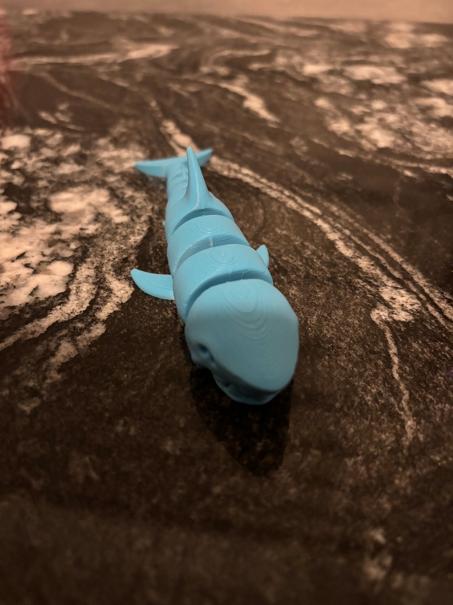 Shark fidget
