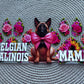 Belgian Malinois mama