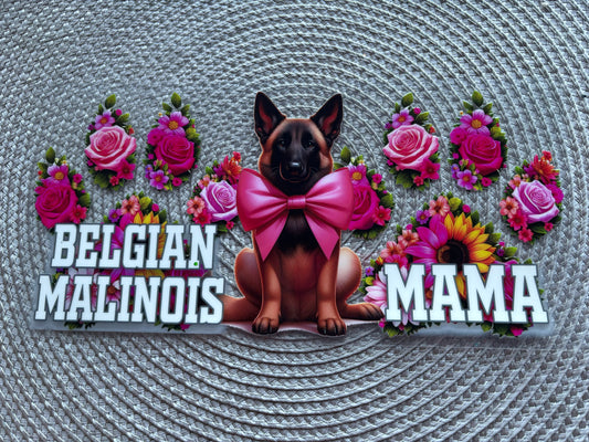 Belgian Malinois mama