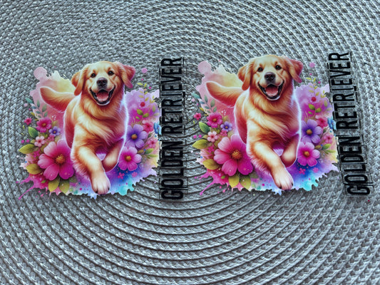 Golden retriever