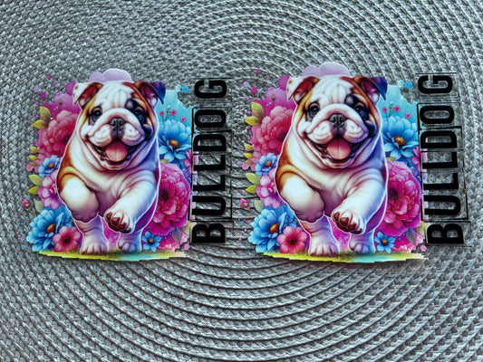 Bulldog